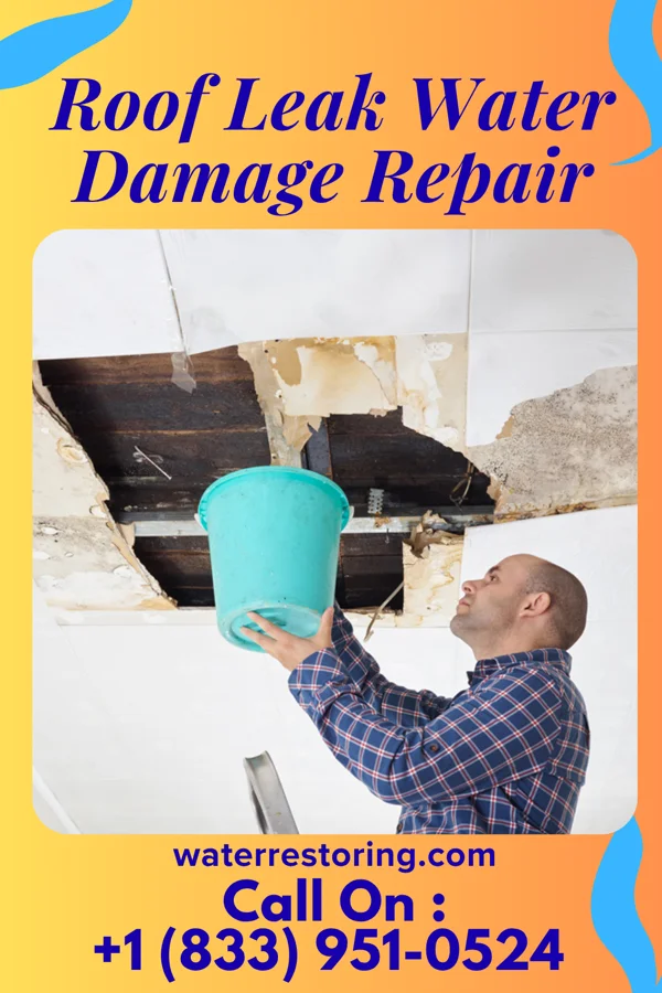 Roof Leak Water Damage Repair in McCoy, CO